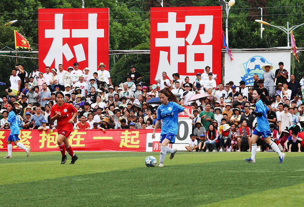 毛球的发展 毛球的发展